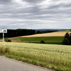 Image from July 2021 depicting the fields around Ravensburg in Southern Germany. There is a sign with some graffiti on which depicts a car sliding off the road, presumably because there is very little curb and it's likely you will career into the grass if you're not careful.